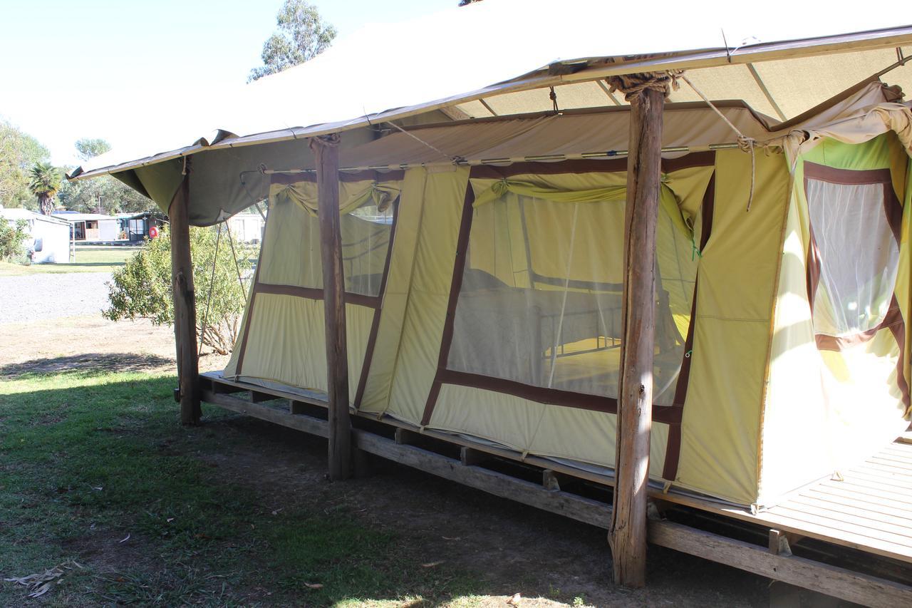 Forrest Wonky Stables Holiday Park מראה חיצוני תמונה