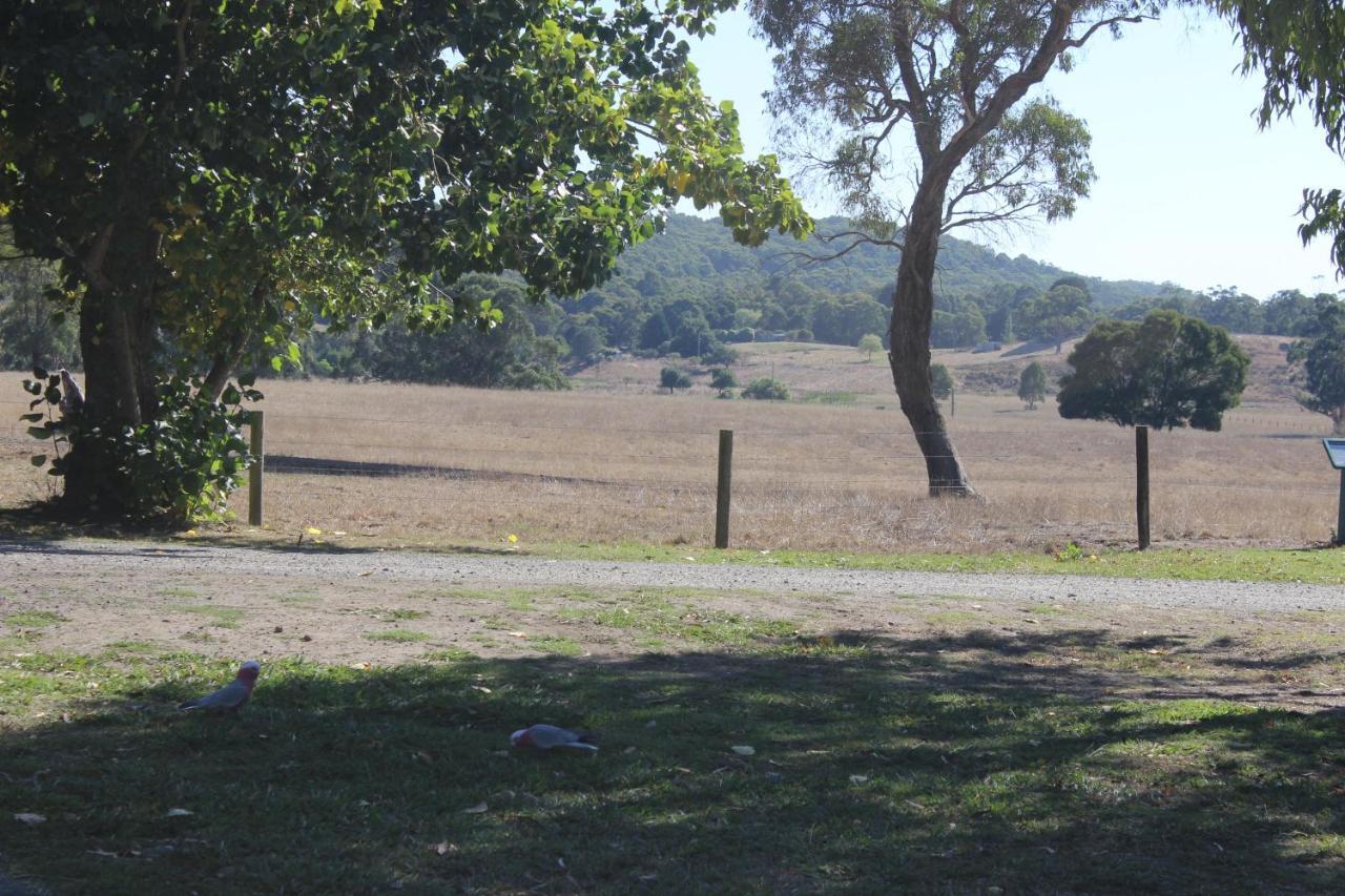 Forrest Wonky Stables Holiday Park מראה חיצוני תמונה